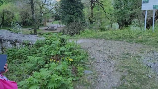 Водопад Мирвети 23.04.2021 смотреть онлайн