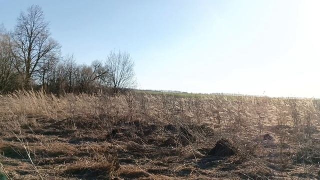 заходим в заброшку
