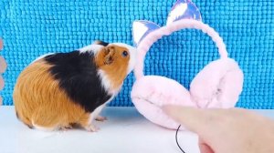 Свинка Бузя: Крафт Мастер! DIY Наушники, Чашка и Чехол для Телефона! 🐷🎨✨