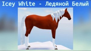 Все иухи острова Метели / Wild Horse Islands