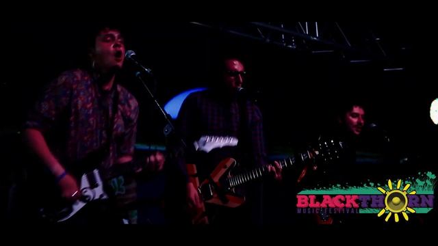 Blackthorn Music Festival 2017