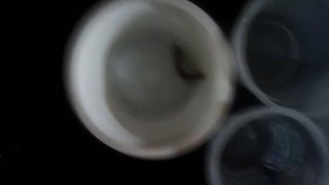 Zophobas Morio o gusanos rey - como acelerar el proceso de transformacion a escarabajos смотреть онлайн