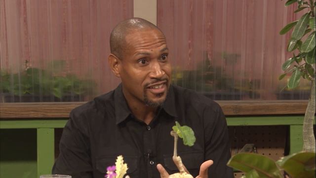 Q&A - Why are the leaves of my boxwood falling off? смотреть онлайн