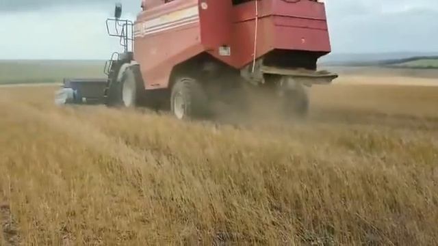 Уборка льна отчесывающей жаткой Ставропольский край 2022г смотреть онлайн