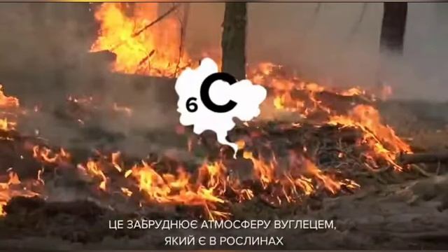 Чи потрібно спалювати опале листя і суху траву? Подкаст Черніховської Анастасії на тему "Екологія" смотреть онлайн