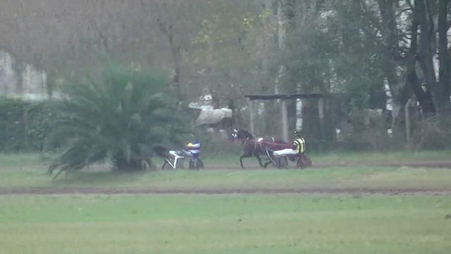 14-05-17 1° TRELPON FOOL DINGO (Diego Rus) смотреть онлайн