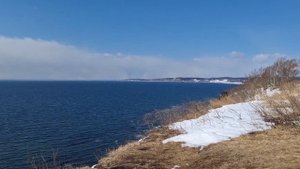 Сахалин сбор устриц + подарок на горе#природа #сахалин #море #рыбалка #устрицы#поход