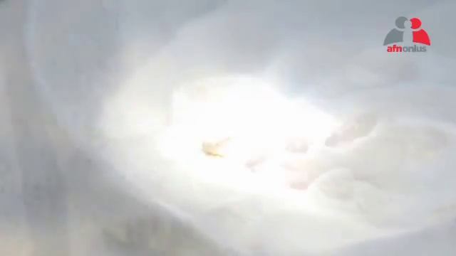 PROMO cucine solari 5min ITA WEB смотреть онлайн