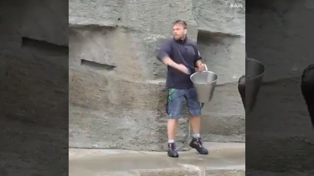 Дружба животных с человеком смотреть онлайн