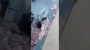 вечеринка с монтажной пеной