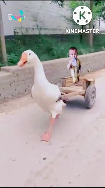 funny video 😆 fun with small kid 🤪 #funmaza #shorts смотреть онлайн