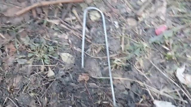 Зимовка винограда. Мой вариант. смотреть онлайн