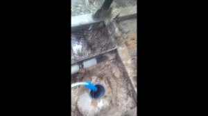 Абисcинская скважина самоизлив