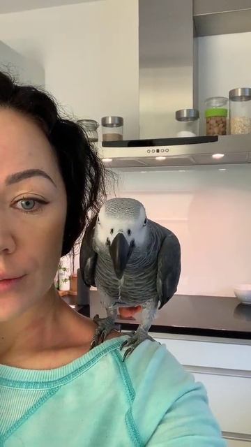 Я сейчас укушу! Приколы с животными shorts