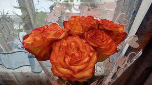 Всех женщин с весенним праздником 8 Марта🤗🌺🌺🌺