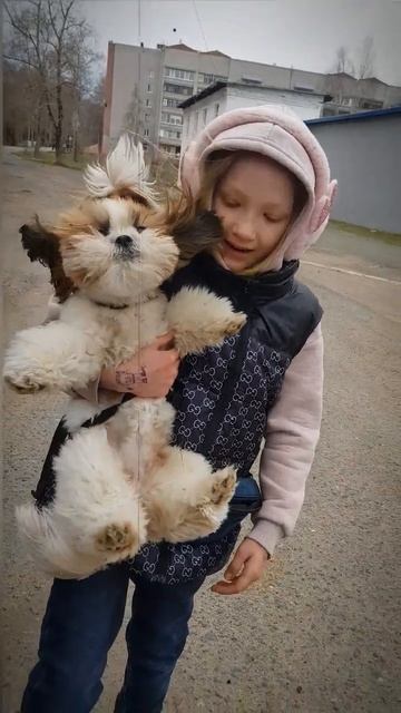 Это шедевр!!! #приколы #дети #алиса #шитцу ,#собака #титаник смотреть онлайн