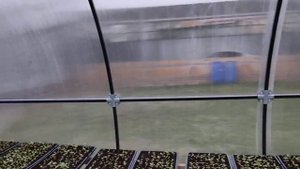 Поликарбонат не спасает от ультрафиолета.