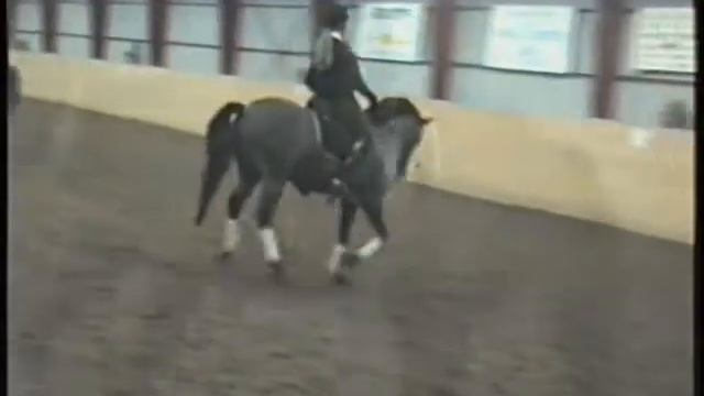 Emelie Brolin  Brolötens Grafit RC 70