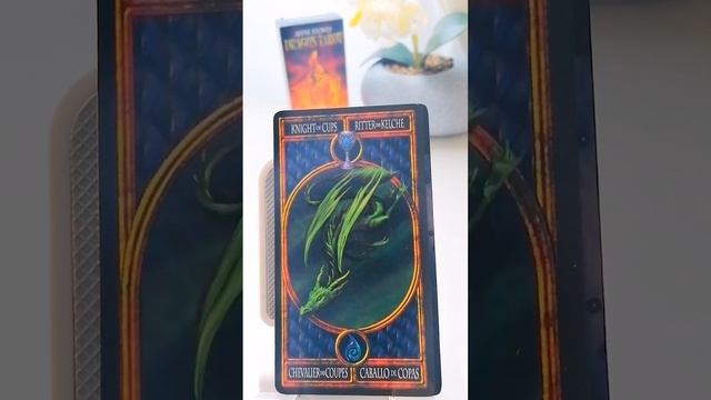 Рыцарь Кубков Чаш обзор и значение Таро Anne Stokes "DragonTarot" #значениетароАрканРыцарьЧашКубков