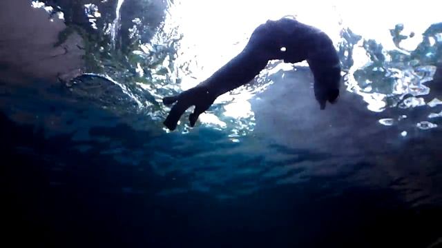 Выдры смотреть онлайн