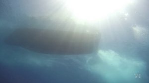 Сын дайвинг Красное Море Египет 2023