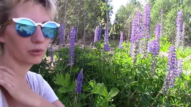 Наш участок и в фас и в профиль
