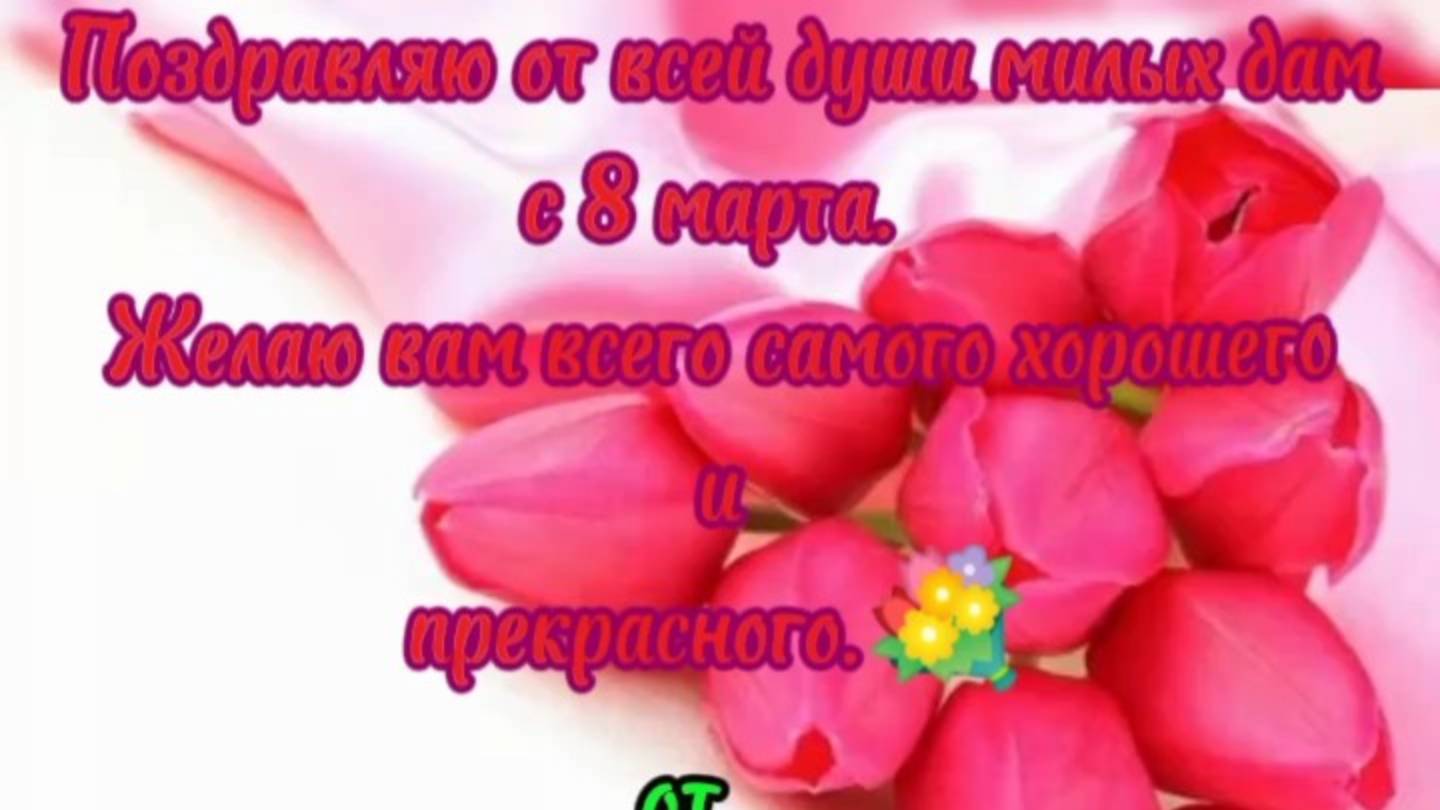 С 8 марта милых дам!🥰