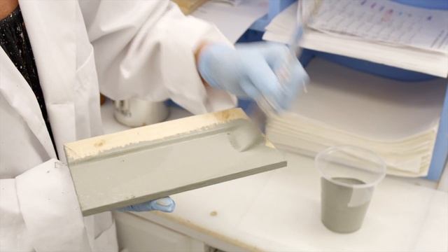 The Forestry Industry in Atlantic Canada смотреть онлайн