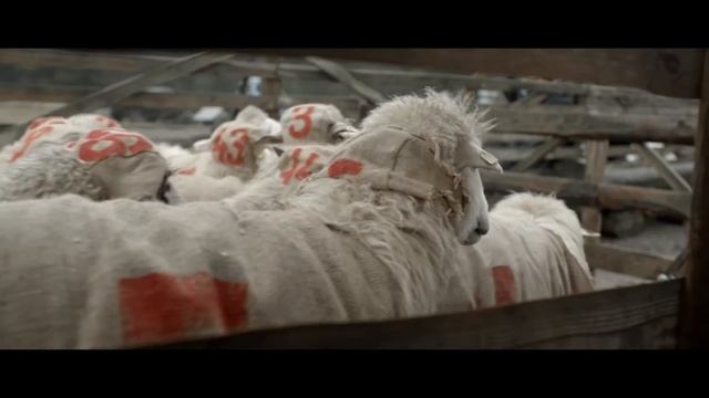 Bingo Милиони - 1 част смотреть онлайн