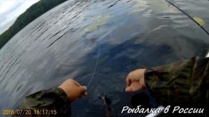 Ловля щуки на Rapala Minnow Spoon . Незацепляйка Рапала. Rapala shad rap