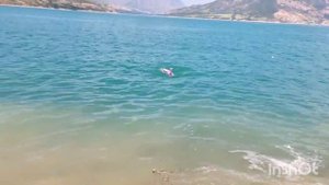 Чарвакское водохранилище