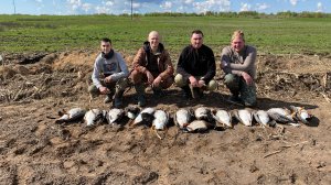 Охота на гуся. Охота на гуся в Беларуси 27.04.2024