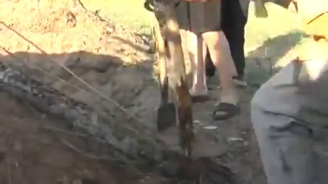2 Зепп Хольцер  Пермакультура с нуля