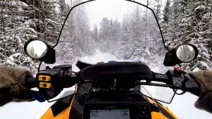 Робинзон и Пятница в зимнем лесу северной Карелии (2-я серия)