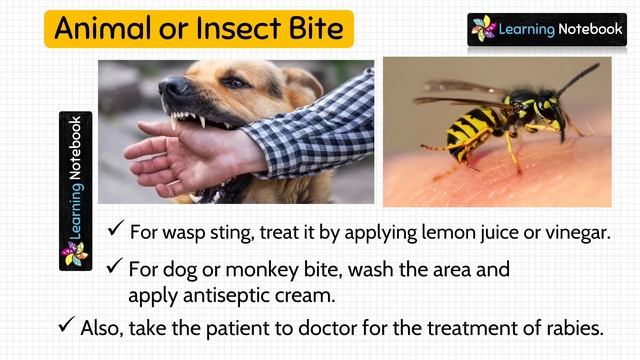 Safety and First-aid (Complete Chapter) смотреть онлайн