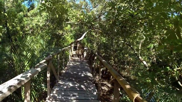 KATUNGGAN IT IBAJAY MANGROVE ECO PARK | World Record Mud Lobster | Ibajay, Aklan смотреть онлайн