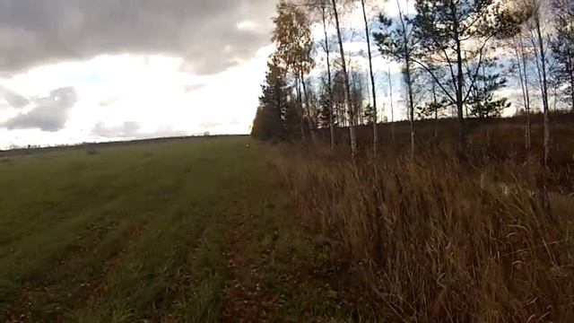 Улетевший вальдшнеп. смотреть онлайн