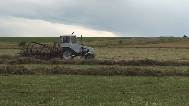 Сенакос т 25