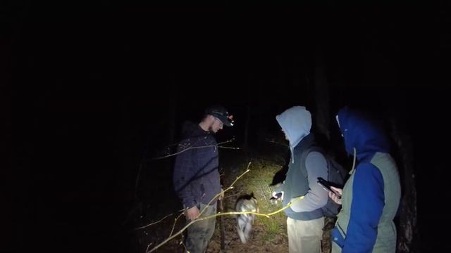 BUSHKRAFT смотреть онлайн