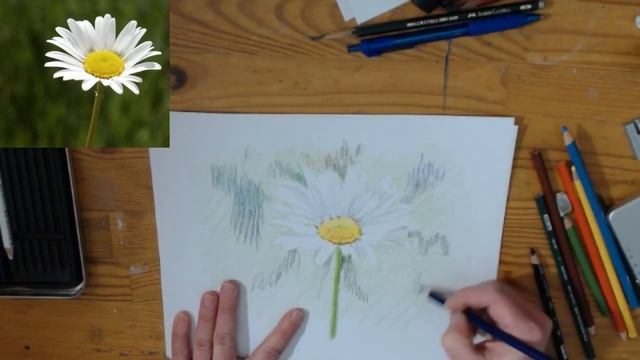 Free Colored Pencil Drawing Tutorial with Daphne Cote -Daisy смотреть онлайн