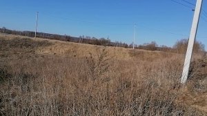 8.03.2025.Усадьба Парк Кино Ляхово. Парк Кошек. Домодедово. Обзор.