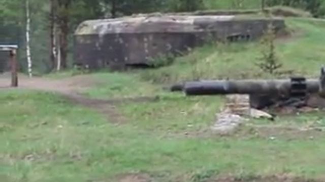 пламегаситель камертон 1 промо) смотреть онлайн