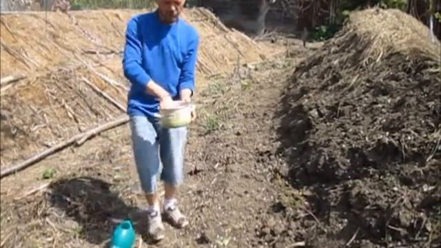Как засеивать Хольцеровские холмистые грядки