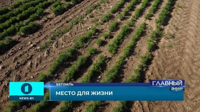 Бегомль — северные ворота в Витебскую область. Место для жизни. Главный эфир