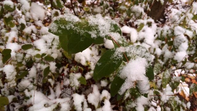 Ана смотреть онлайн