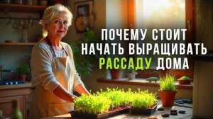 Зачем нужно начать выращивать рассаду дома