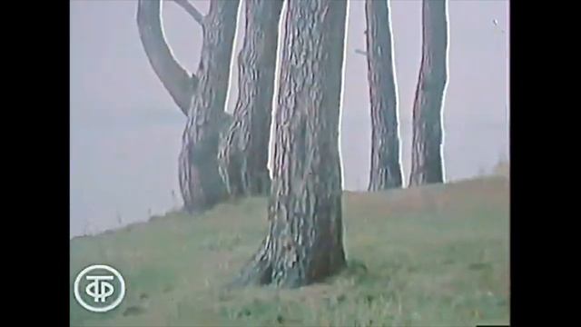 Андрей Дементьев и тверской край