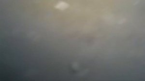 Подводный мир Ветлянского водохранилища. #fishing #рыбалка #nature #природа #fish #подводой