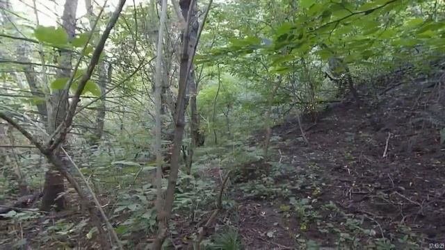 В урочище с ночевой