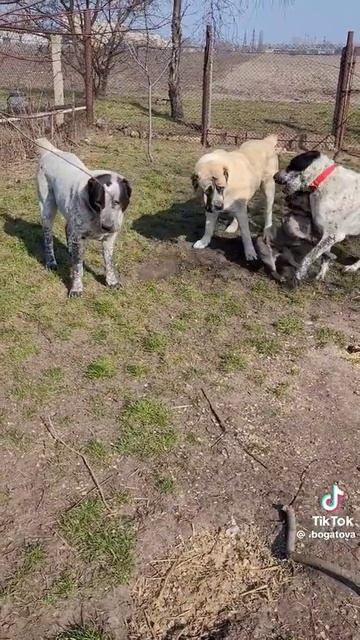 Розмір не головне ,головне характер)) #смішні #2024 смотреть онлайн